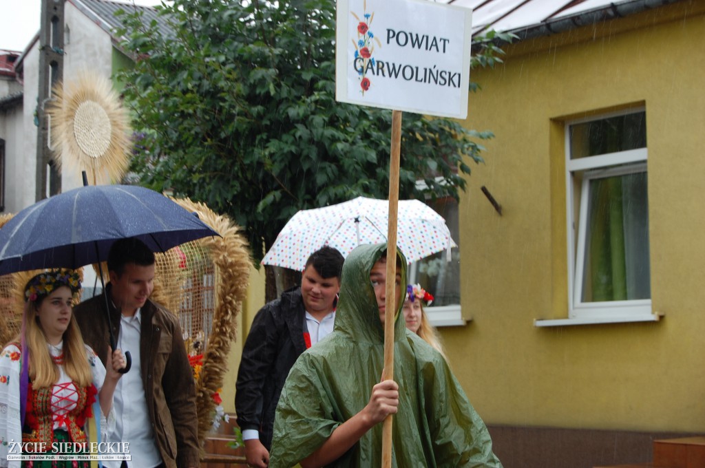 Święto plonów w strugach deszczu