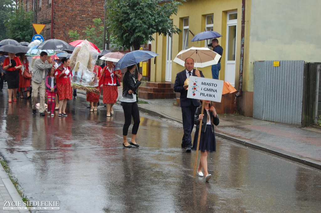 Święto plonów w strugach deszczu