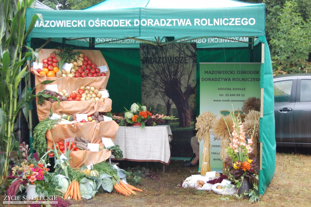 Święto plonów w strugach deszczu