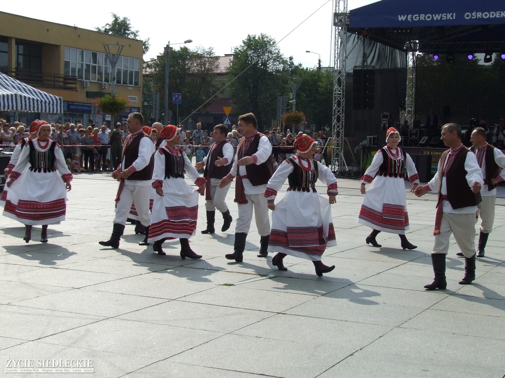 Jan Dobrogost Krasiński w Węgrowie
