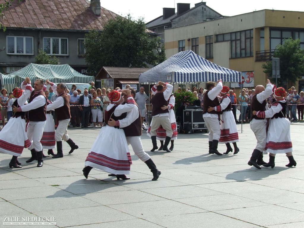 Jan Dobrogost Krasiński w Węgrowie