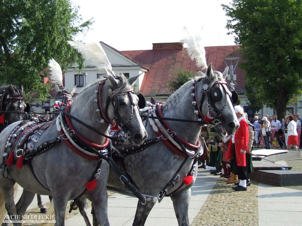 Jan Dobrogost Krasiński w Węgrowie