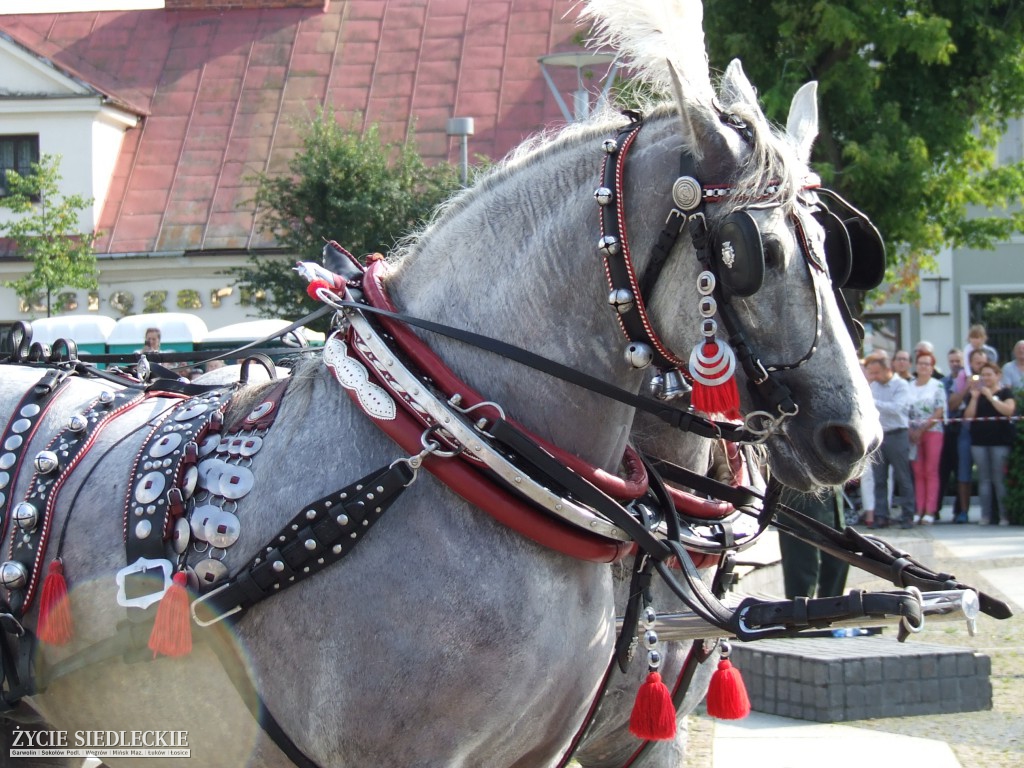 Jan Dobrogost Krasiński w Węgrowie