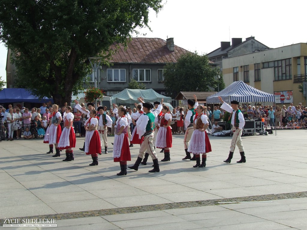 Jan Dobrogost Krasiński w Węgrowie