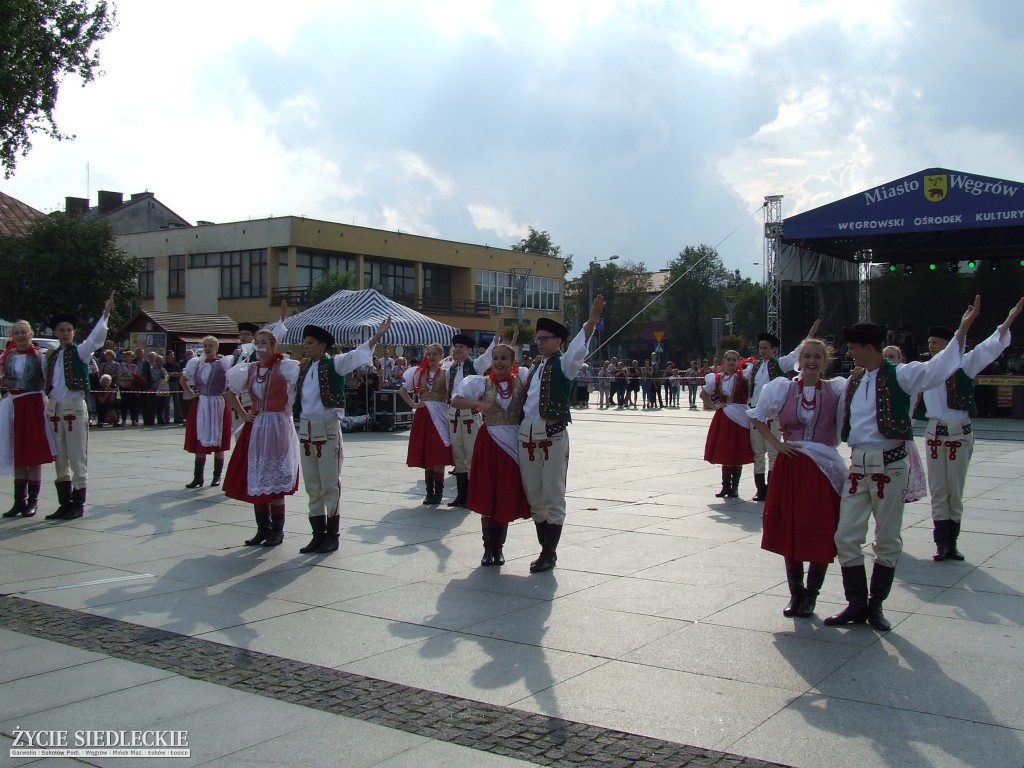 Jan Dobrogost Krasiński w Węgrowie
