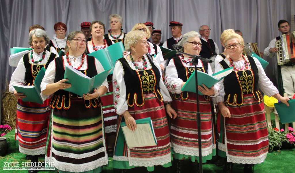 Narodowe Czytanie „Wesela” w Sokołowie