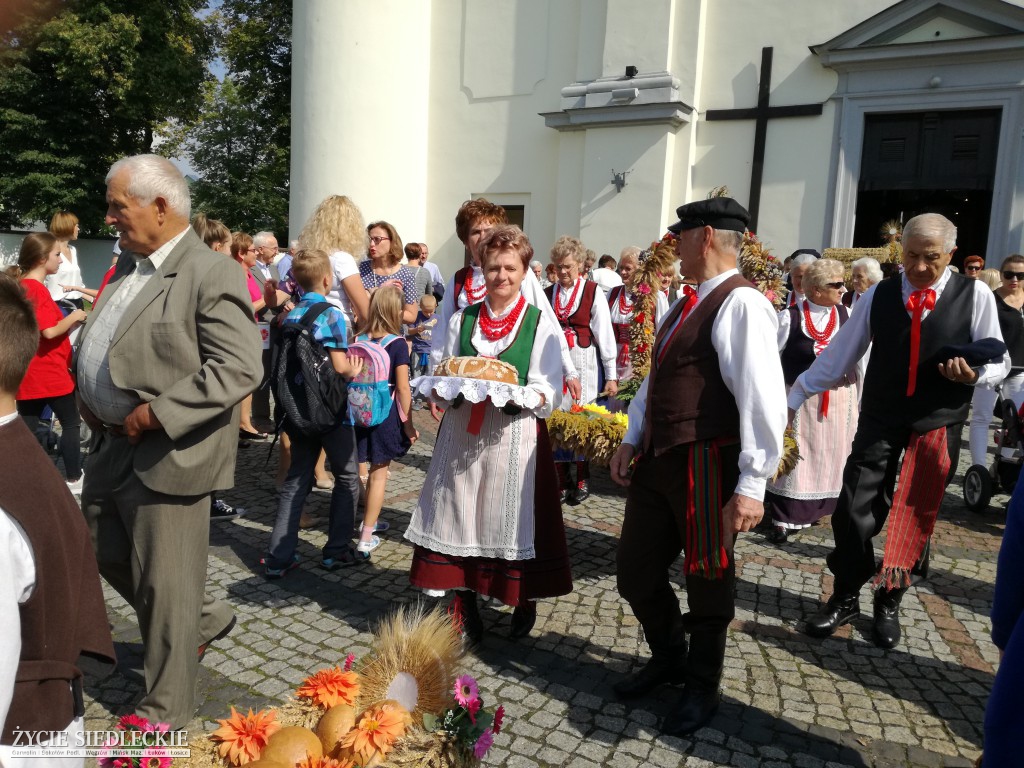 Mazowieckie Święto Chleba i Sera w Węgrowie