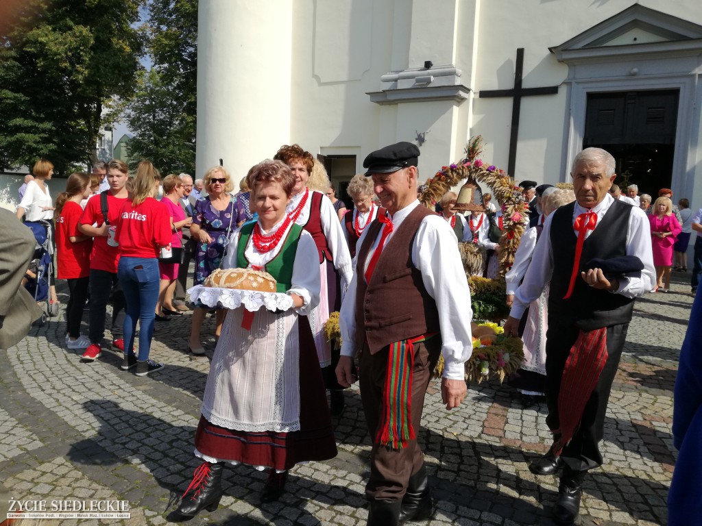 Mazowieckie Święto Chleba i Sera w Węgrowie