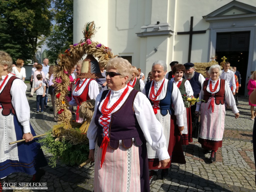 Mazowieckie Święto Chleba i Sera w Węgrowie