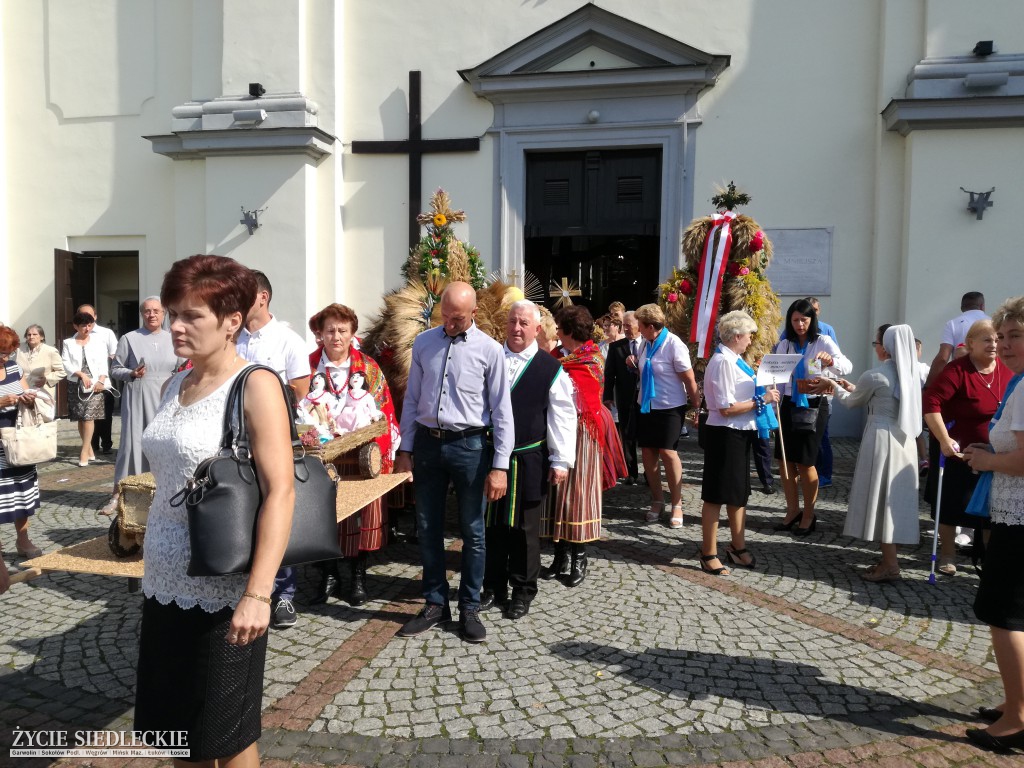 Mazowieckie Święto Chleba i Sera w Węgrowie