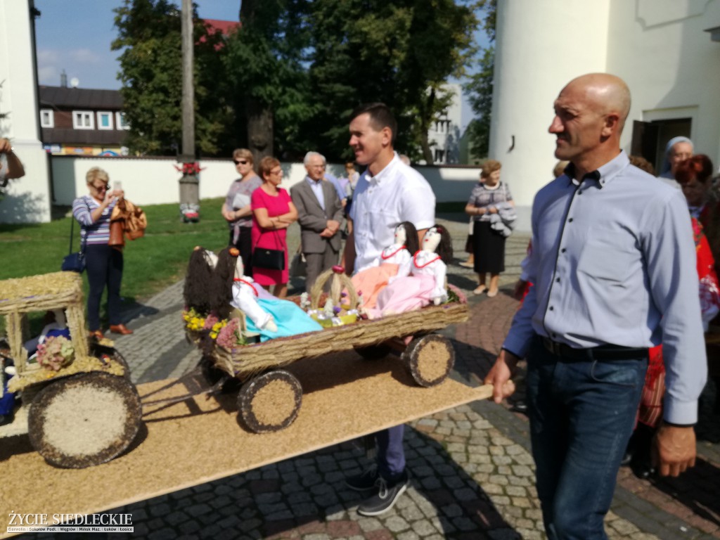 Mazowieckie Święto Chleba i Sera w Węgrowie