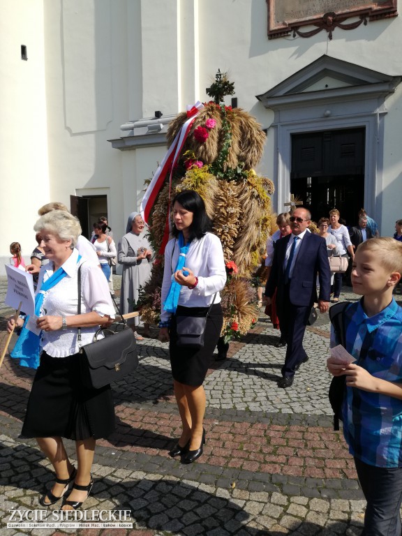 Mazowieckie Święto Chleba i Sera w Węgrowie