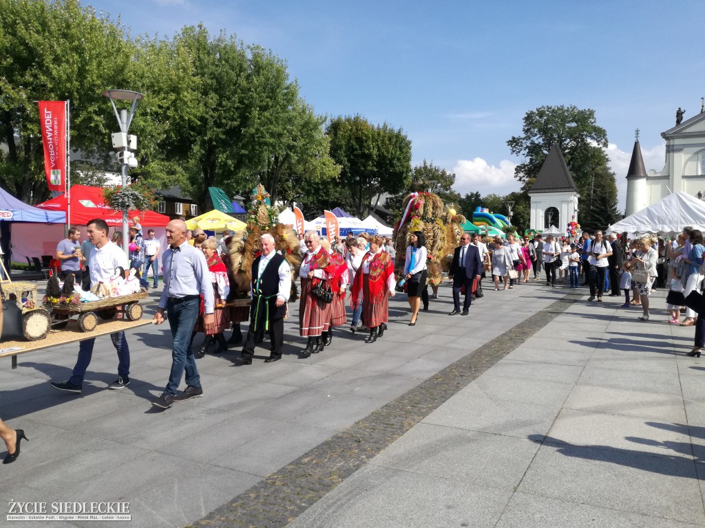 Mazowieckie Święto Chleba i Sera w Węgrowie