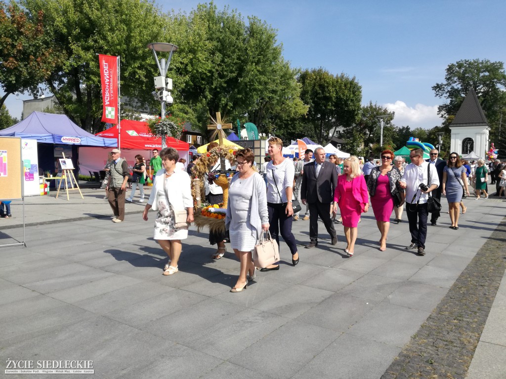 Mazowieckie Święto Chleba i Sera w Węgrowie