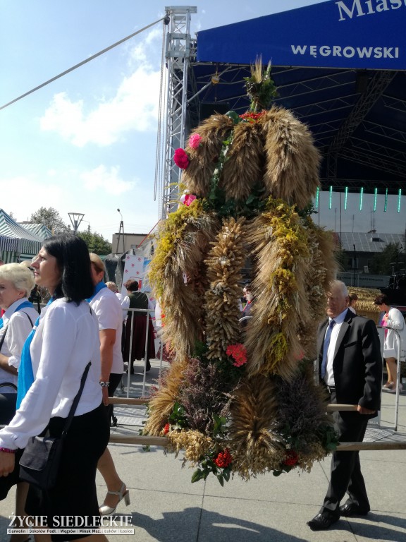 Mazowieckie Święto Chleba i Sera w Węgrowie