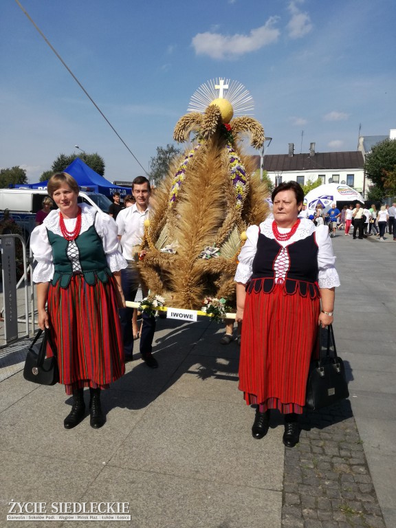 Mazowieckie Święto Chleba i Sera w Węgrowie