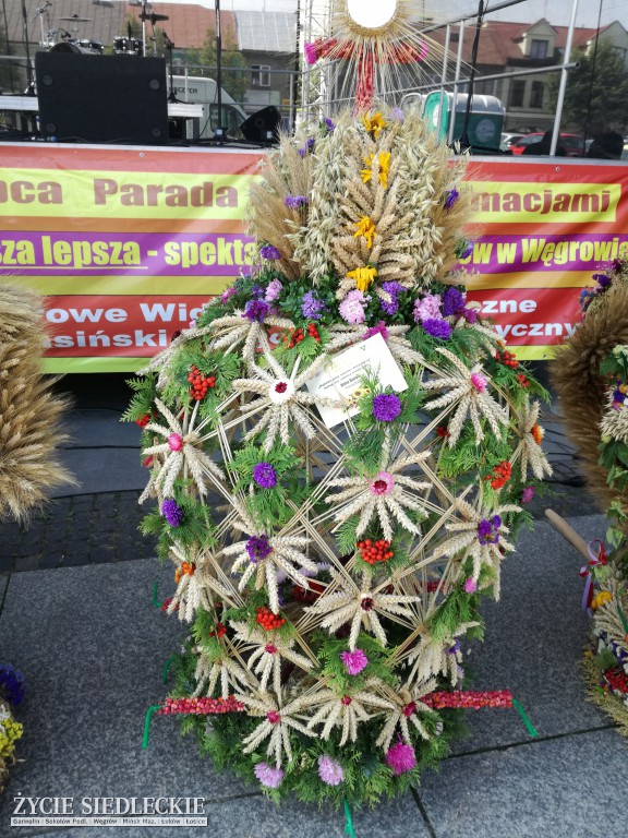 Mazowieckie Święto Chleba i Sera w Węgrowie