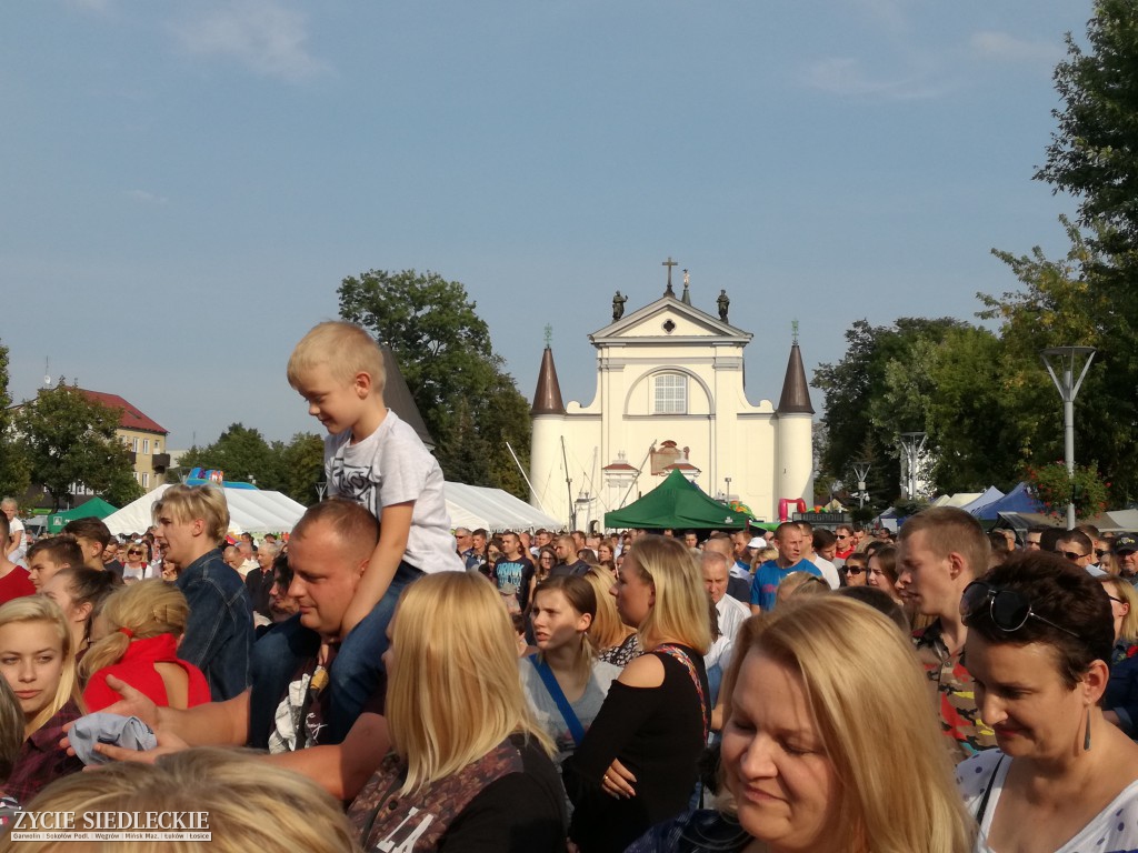 Mazowieckie Święto Chleba i Sera w Węgrowie