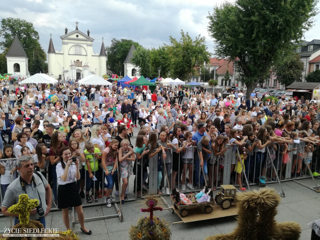 Mazowieckie Święto Chleba i Sera w Węgrowie