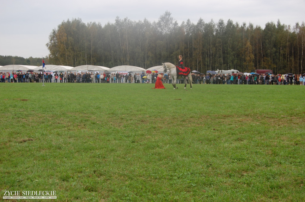 Gratka dla miłośników koni