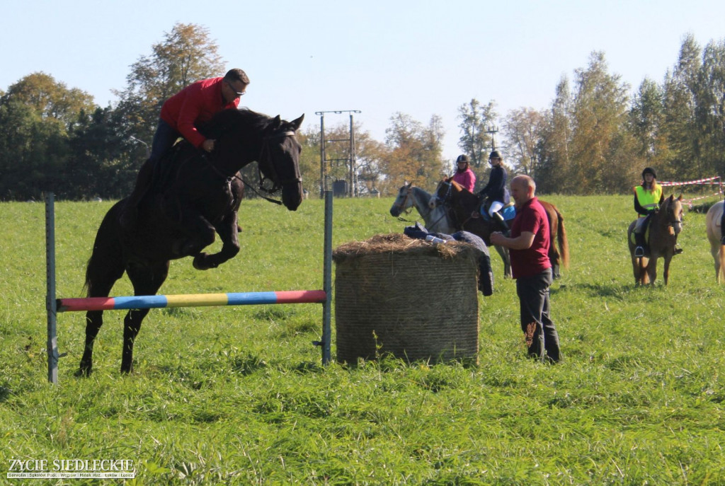 Piękne konie na Hubertusie w Sterdyni