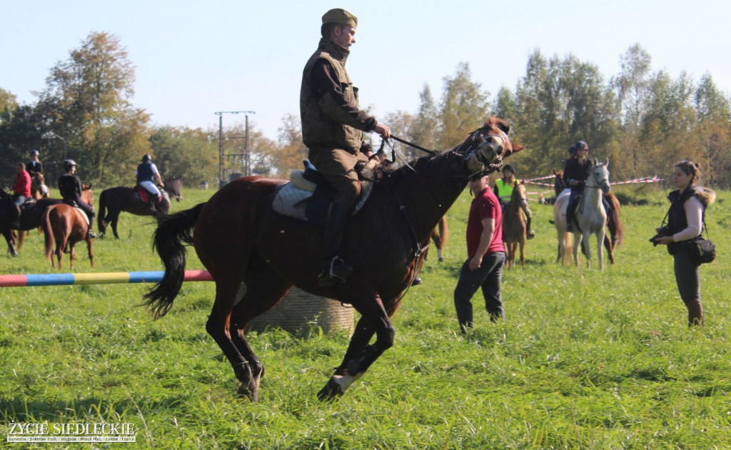 Piękne konie na Hubertusie w Sterdyni