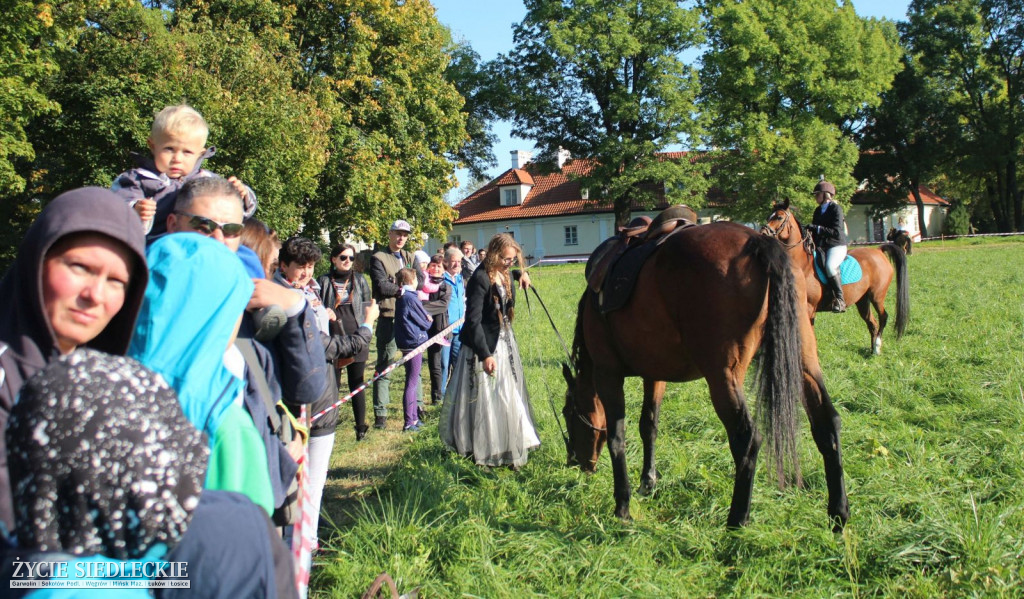 Piękne konie na Hubertusie w Sterdyni