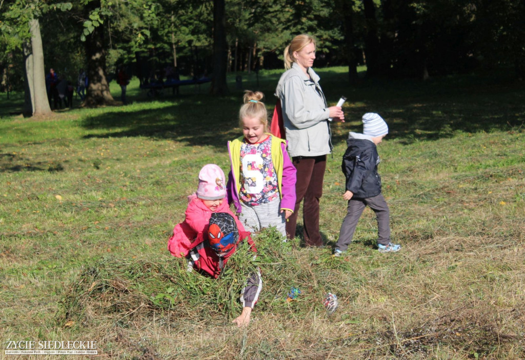 Piękne konie na Hubertusie w Sterdyni