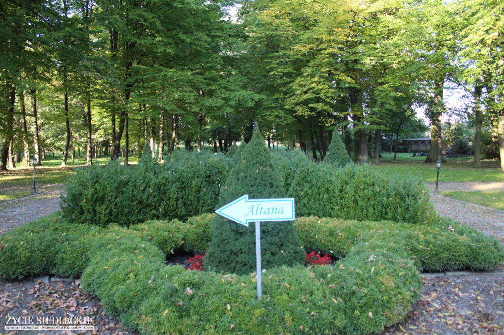 Piękne konie na Hubertusie w Sterdyni