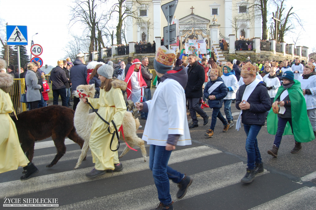 W Żelechowie z wielbłądami