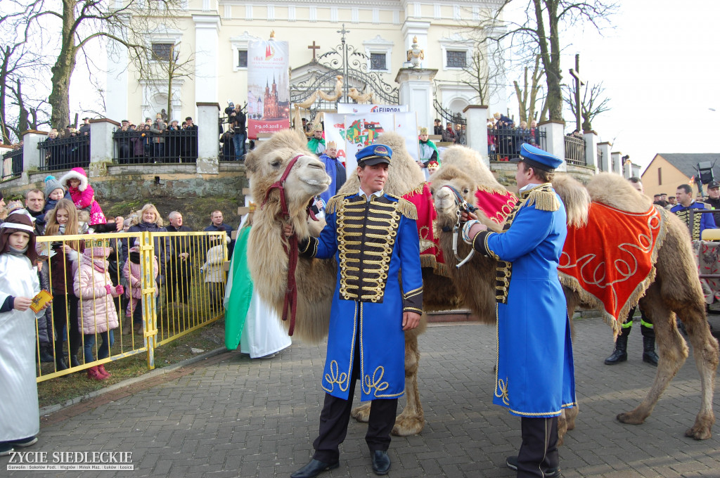 W Żelechowie z wielbłądami