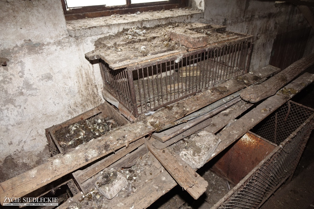 Zabrano mu 25 zwierząt, koszmarne warunki