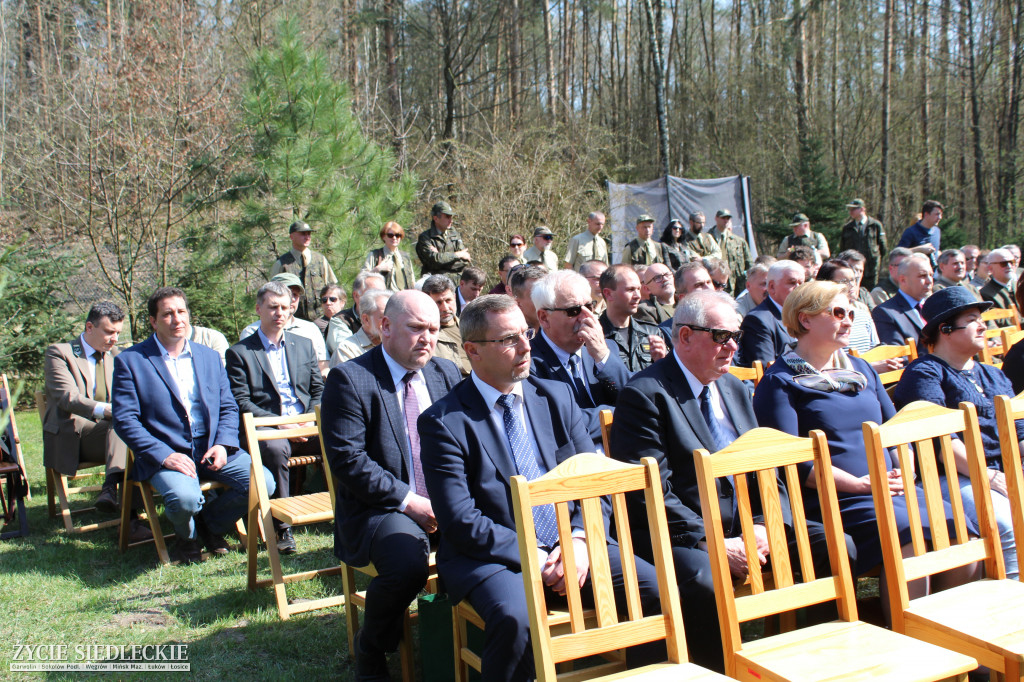 Zasadzili 100 dębów na 100-lecie niepodległości