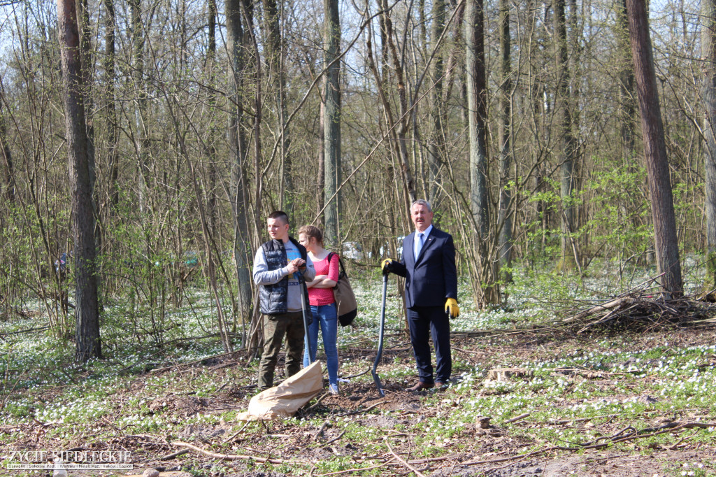Zasadzili 100 dębów na 100-lecie niepodległości