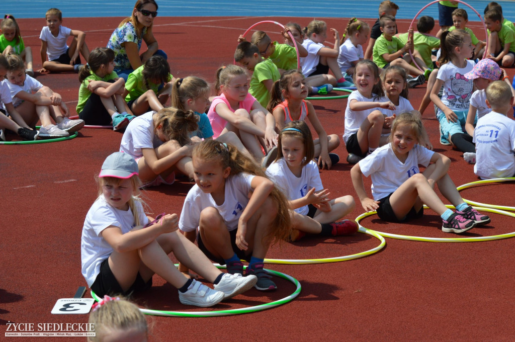 Gala sportu w Siedlcach