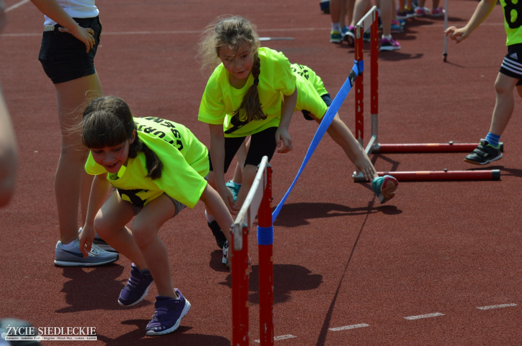 Gala sportu w Siedlcach