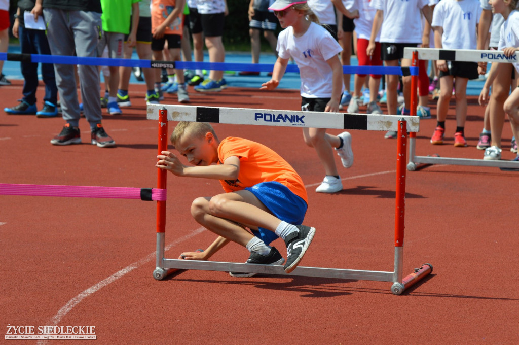 Gala sportu w Siedlcach
