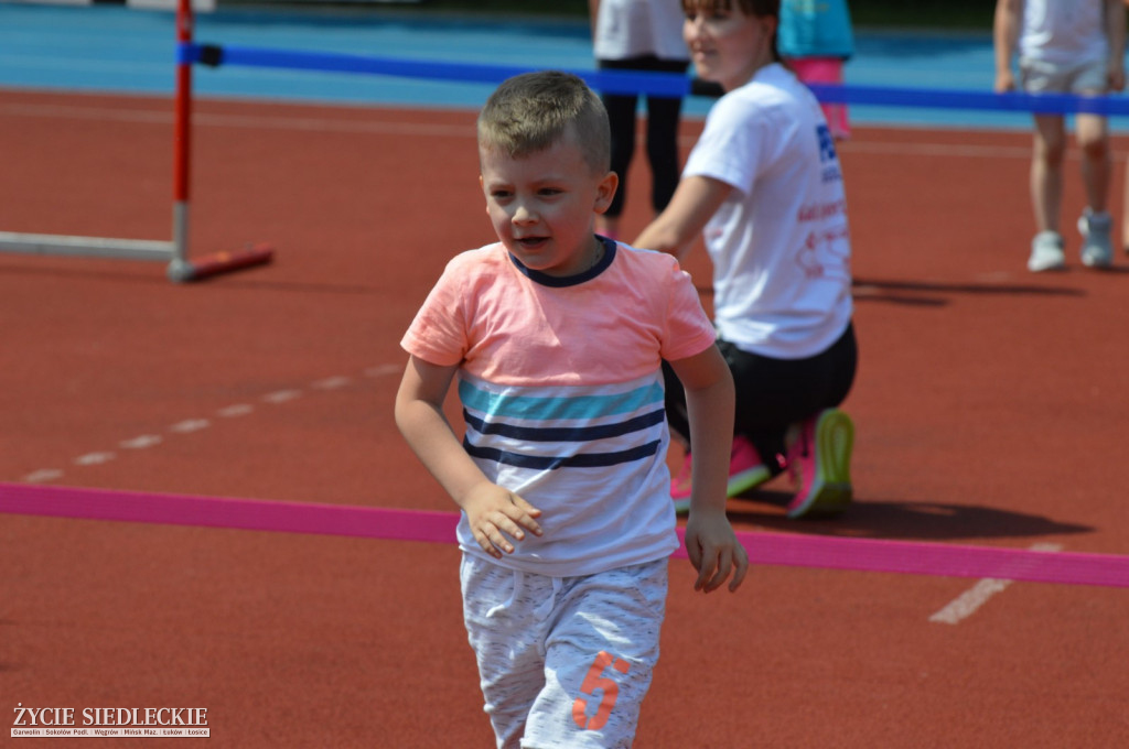 Gala sportu w Siedlcach