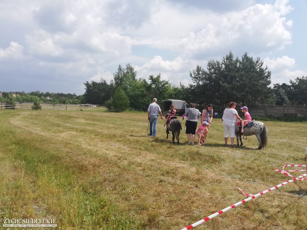 Festyn Rodzin Zastępczych w Węgrowie