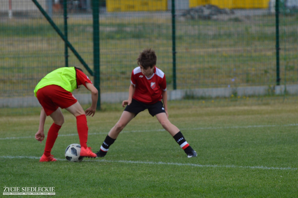 Komnet-Media Cup 2018