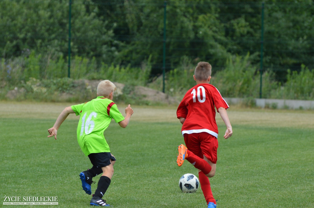Komnet-Media Cup 2018