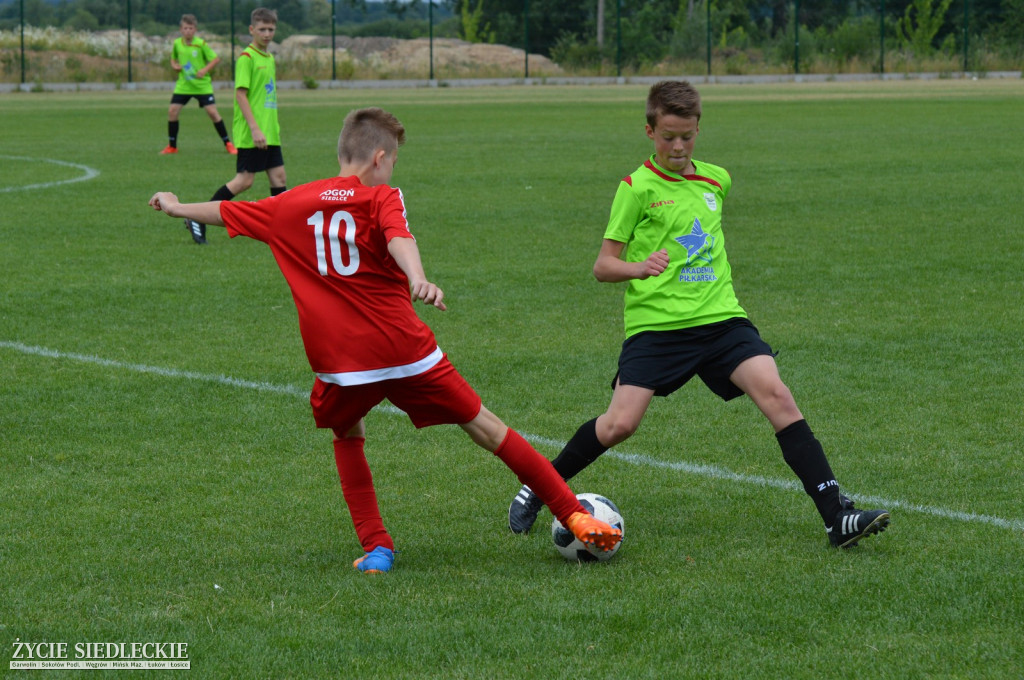 Komnet-Media Cup 2018