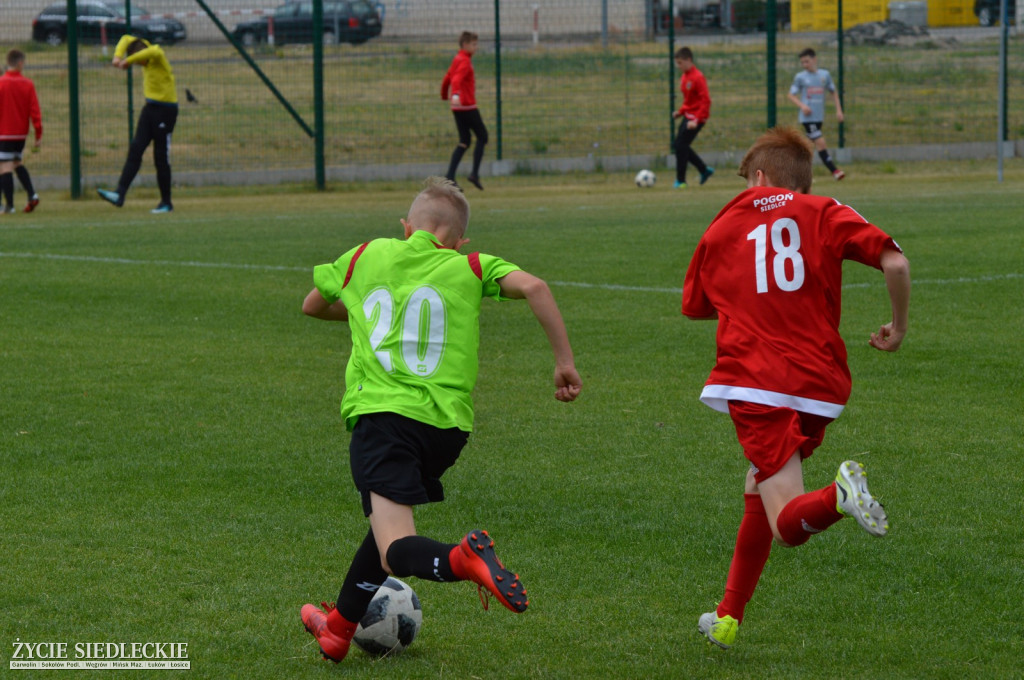Komnet-Media Cup 2018
