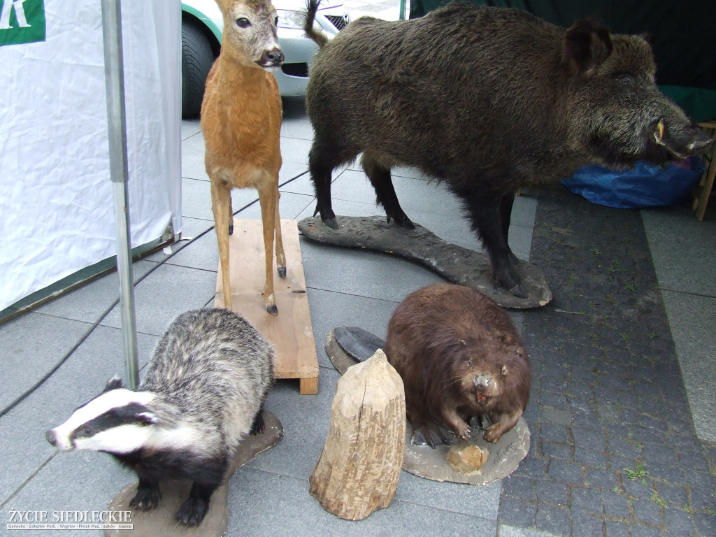 Międzynarodowy Turniej Smaków w Węgrowie