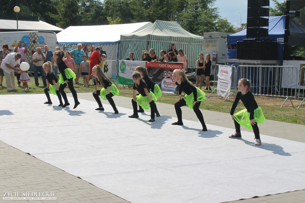 Dni Kotunia 2018