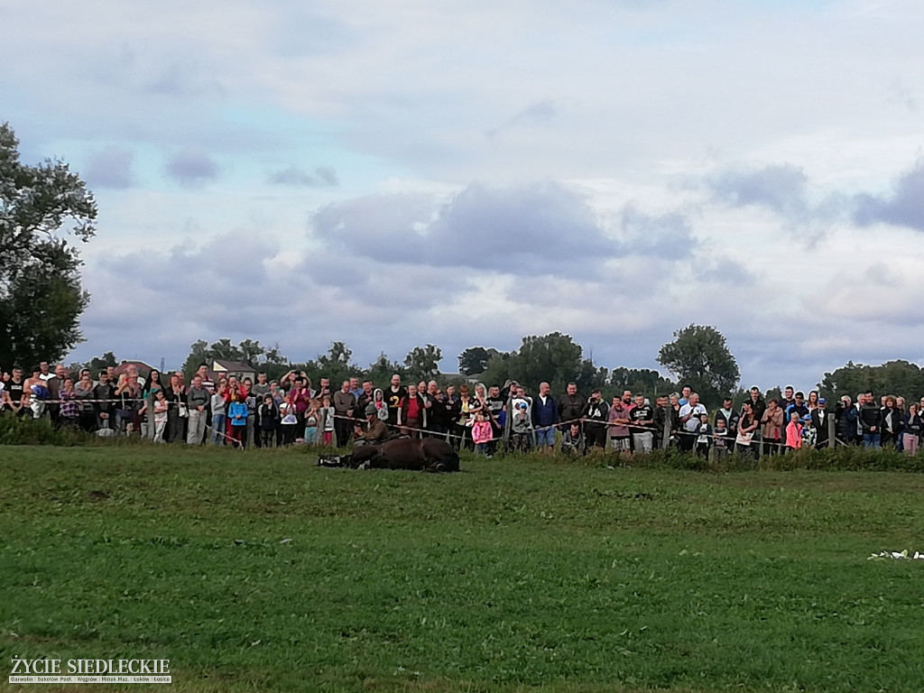 Wielka Gala Kawaleryjska w Liwie i Węgrowie