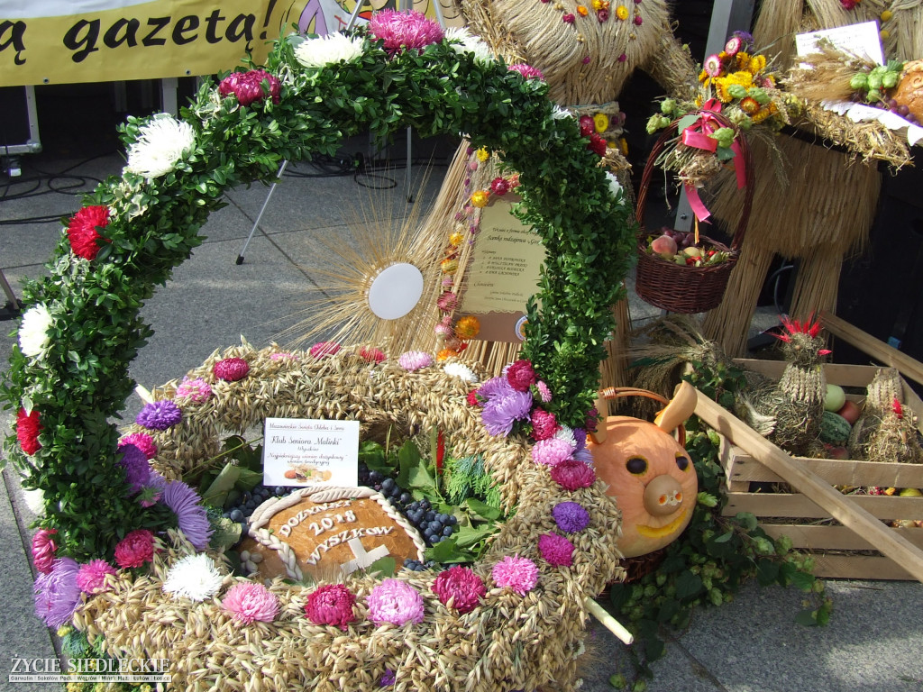Mazowieckie Święto Chleba i Sera w Węgrowie