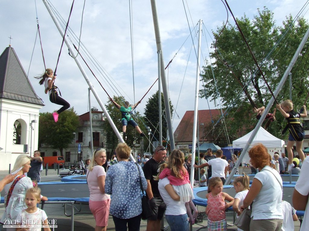 Mazowieckie Święto Chleba i Sera w Węgrowie