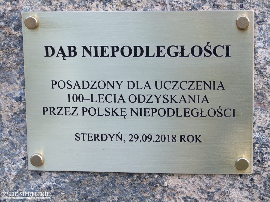 Za nami II Gminny Hubertus w Sterdyni