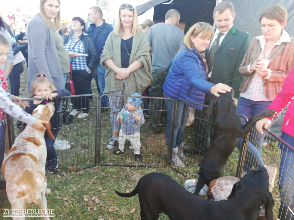 Węgrowski Hubertus z zespołem Golec uOrkiestra